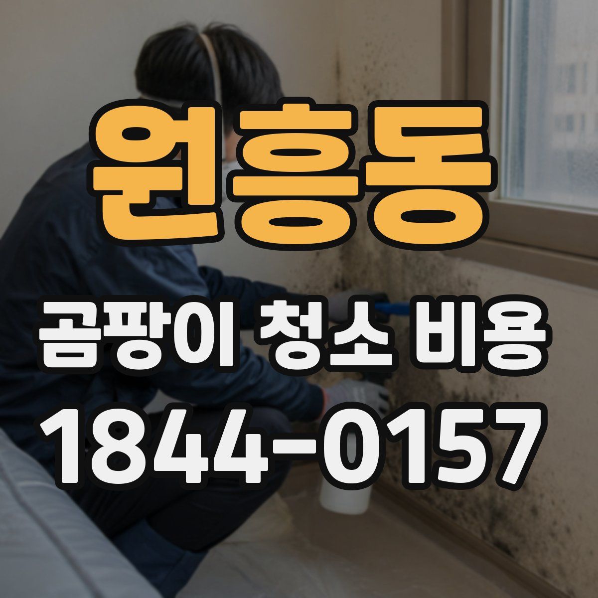 원흥동 곰팡이 청소 비용
