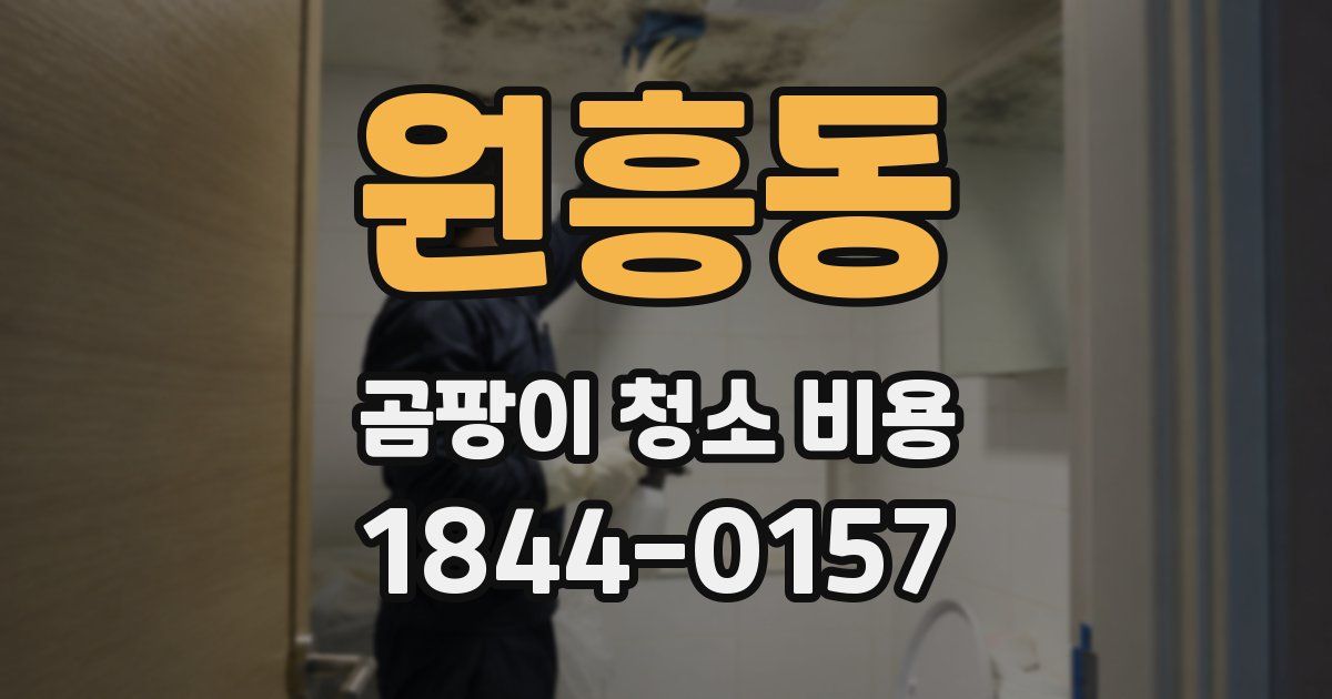 원흥동 곰팡이 청소 비용
