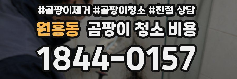 원흥동 곰팡이 청소 비용
