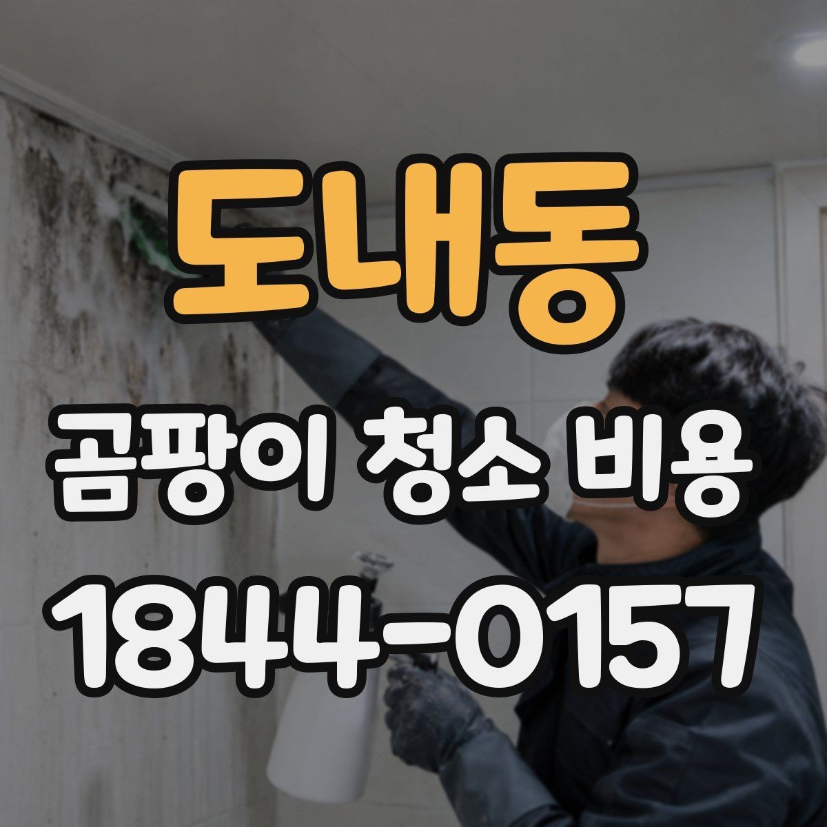 도내동 곰팡이 청소 비용 문의 전에 알아둘 준비사항