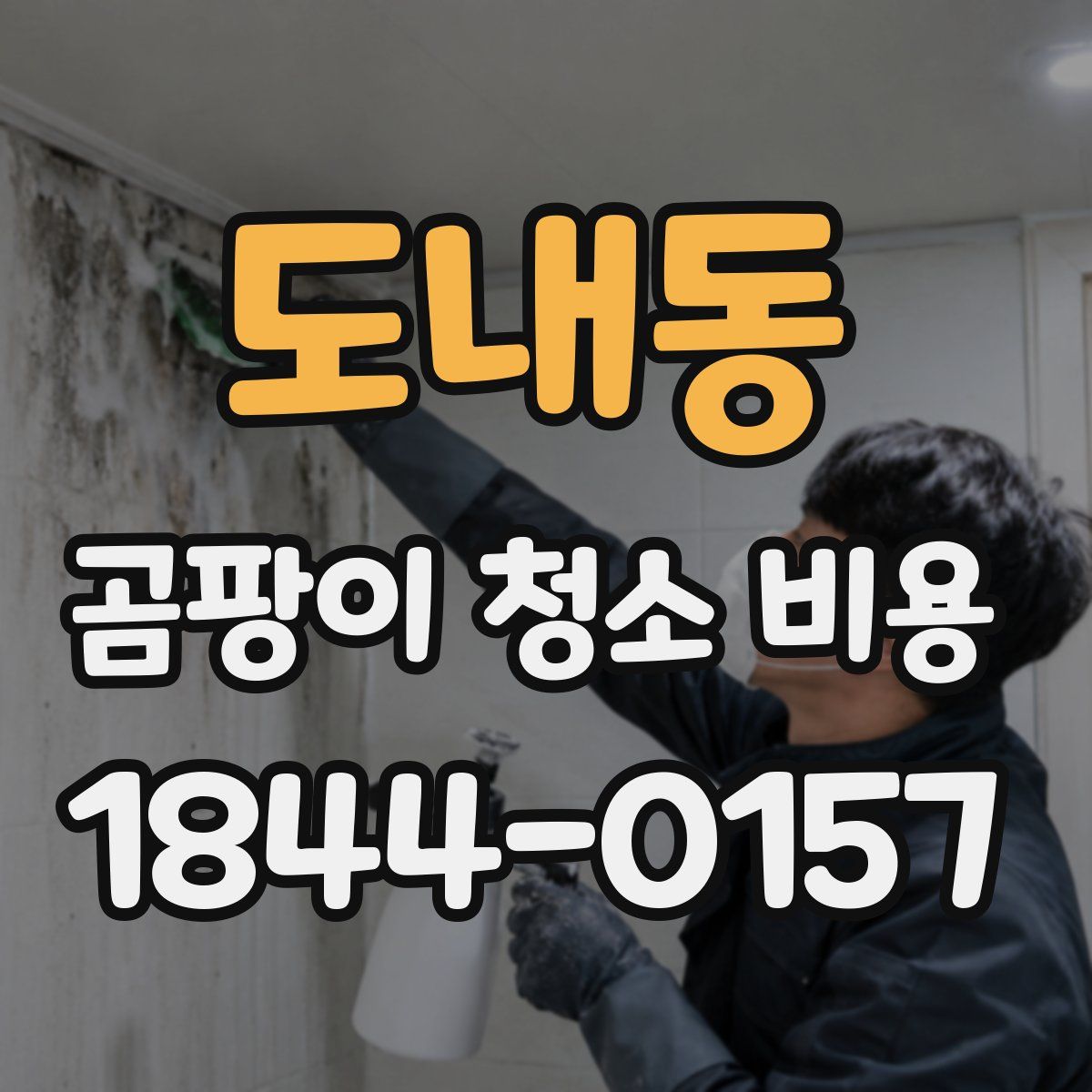도내동 곰팡이 청소 비용