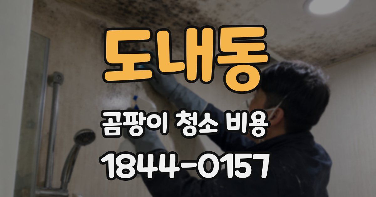 도내동 곰팡이 청소 비용