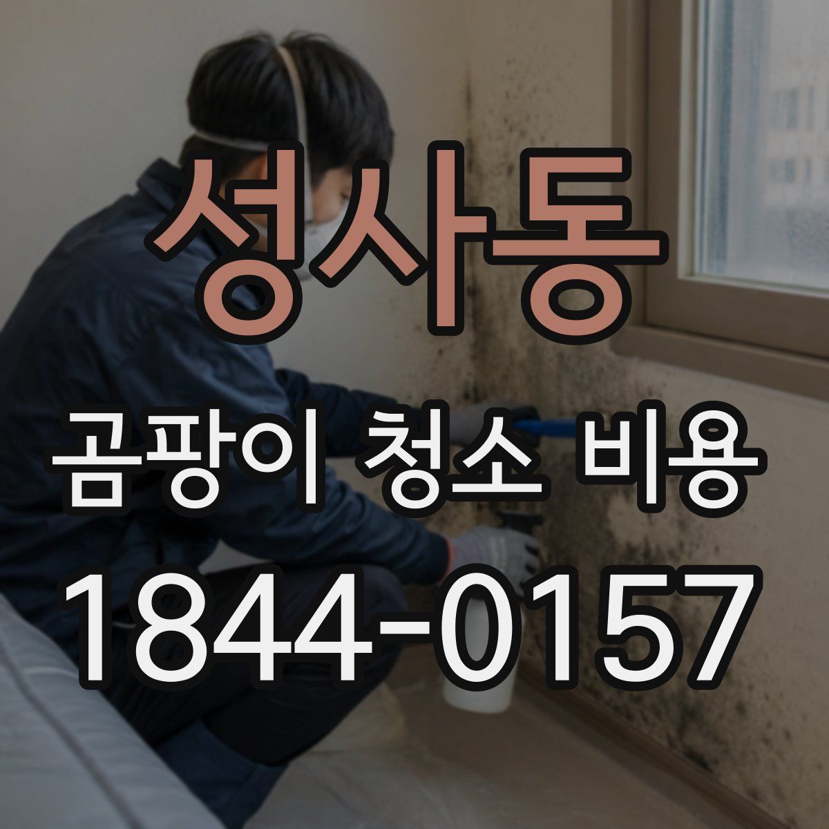 성사동 곰팡이 청소 비용