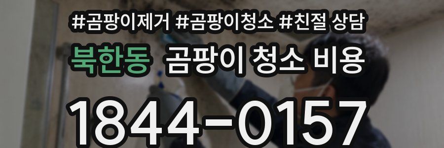 북한동 곰팡이 청소 비용