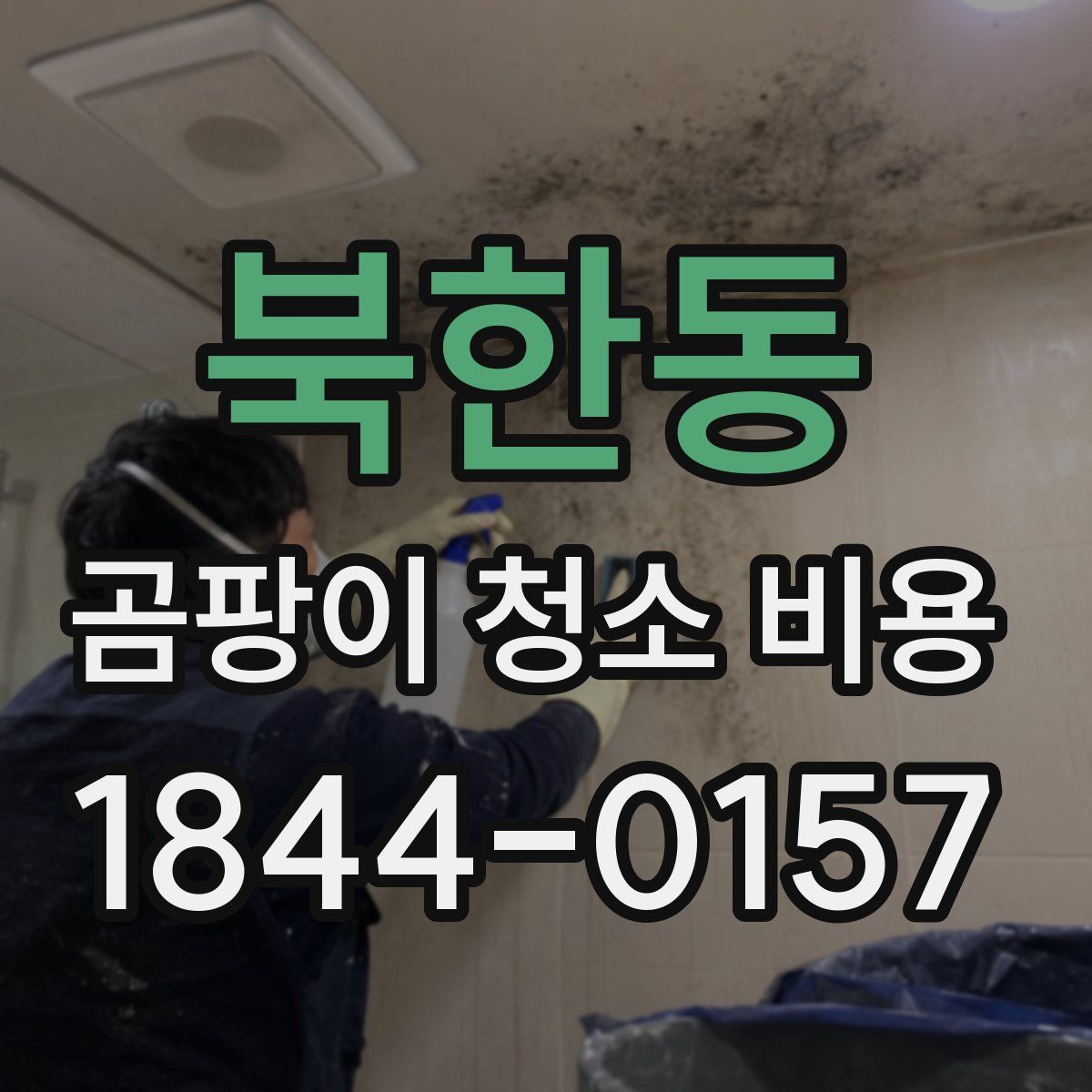 북한동 곰팡이 청소 비용
