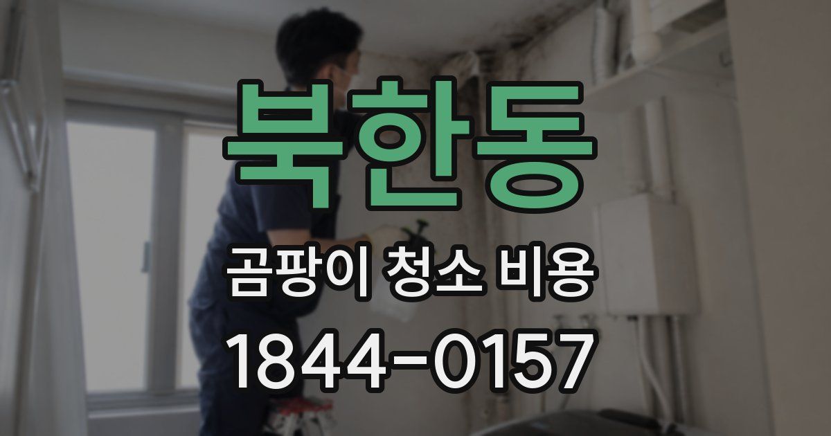 북한동 곰팡이 청소 비용