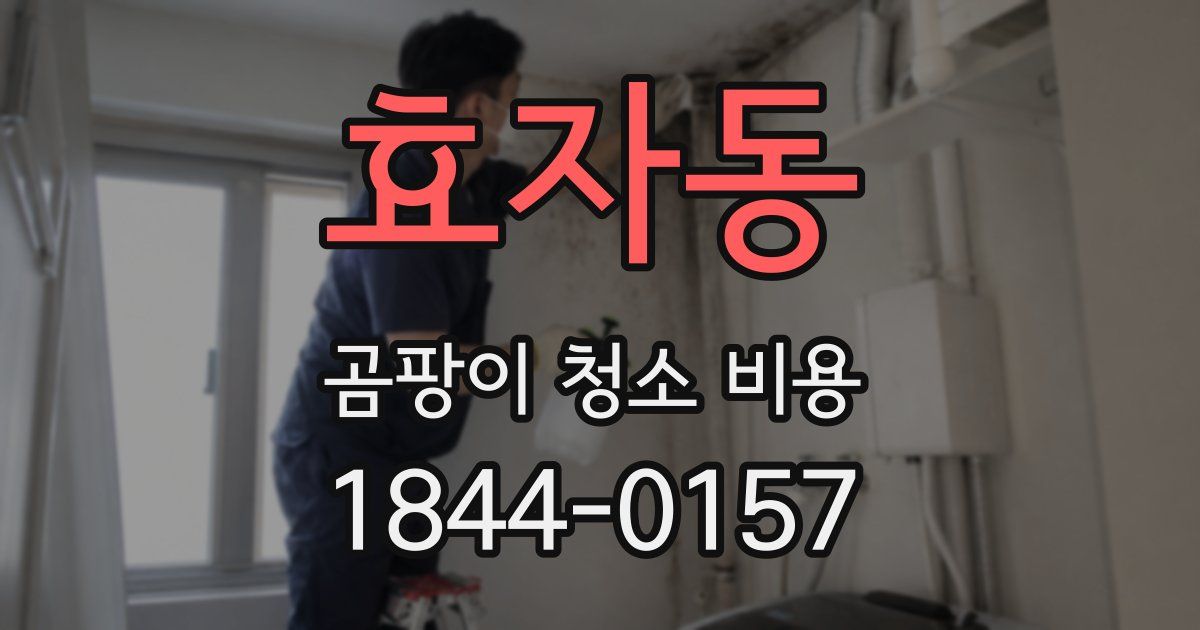효자동 곰팡이 청소 비용