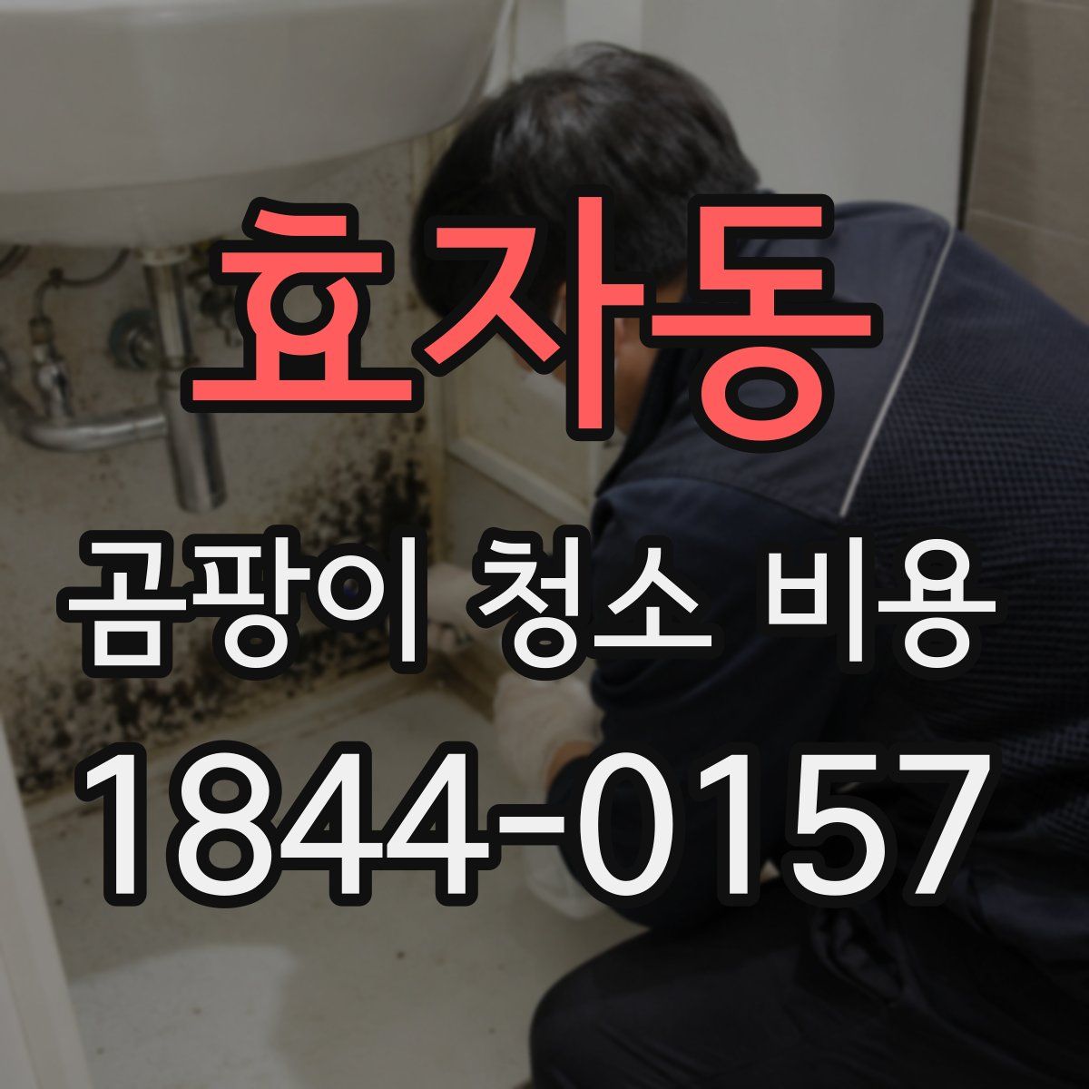 효자동 곰팡이 청소 비용