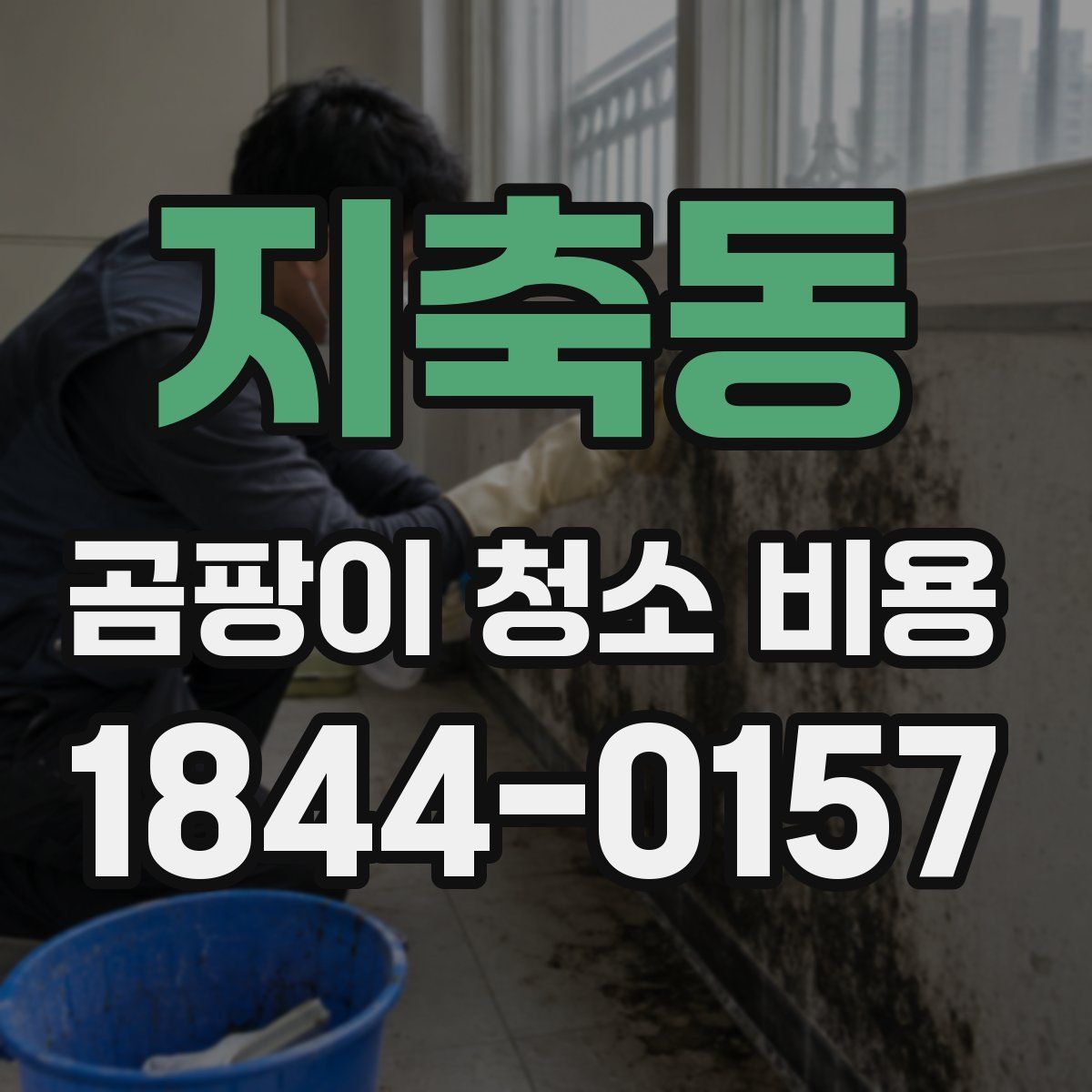 지축동 곰팡이 청소 비용