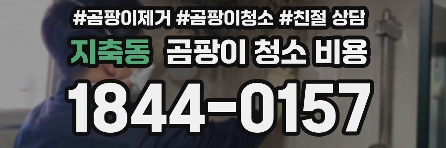 지축동 곰팡이 청소 비용