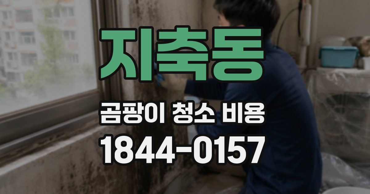 지축동 곰팡이 청소 비용