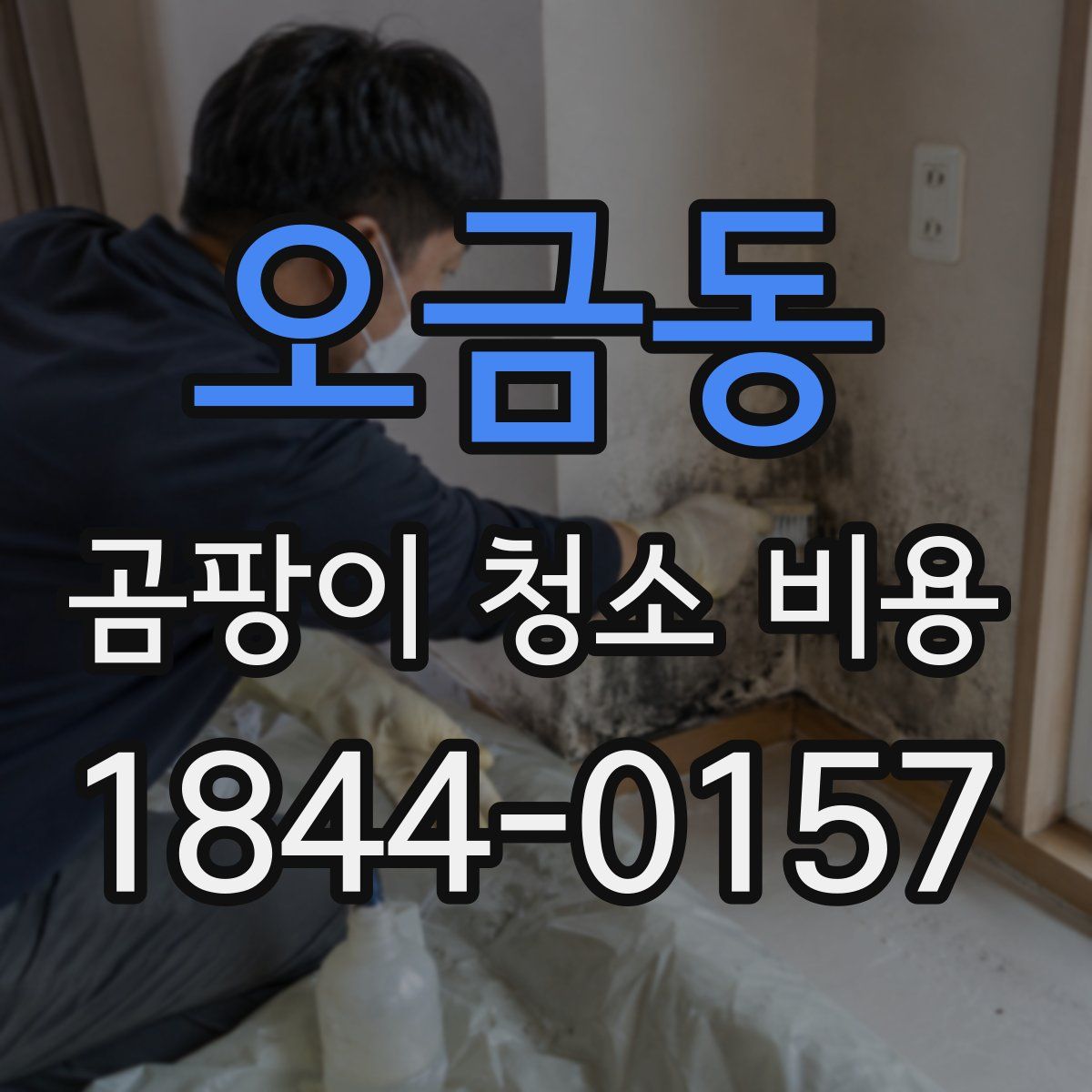 오금동 곰팡이 청소 비용