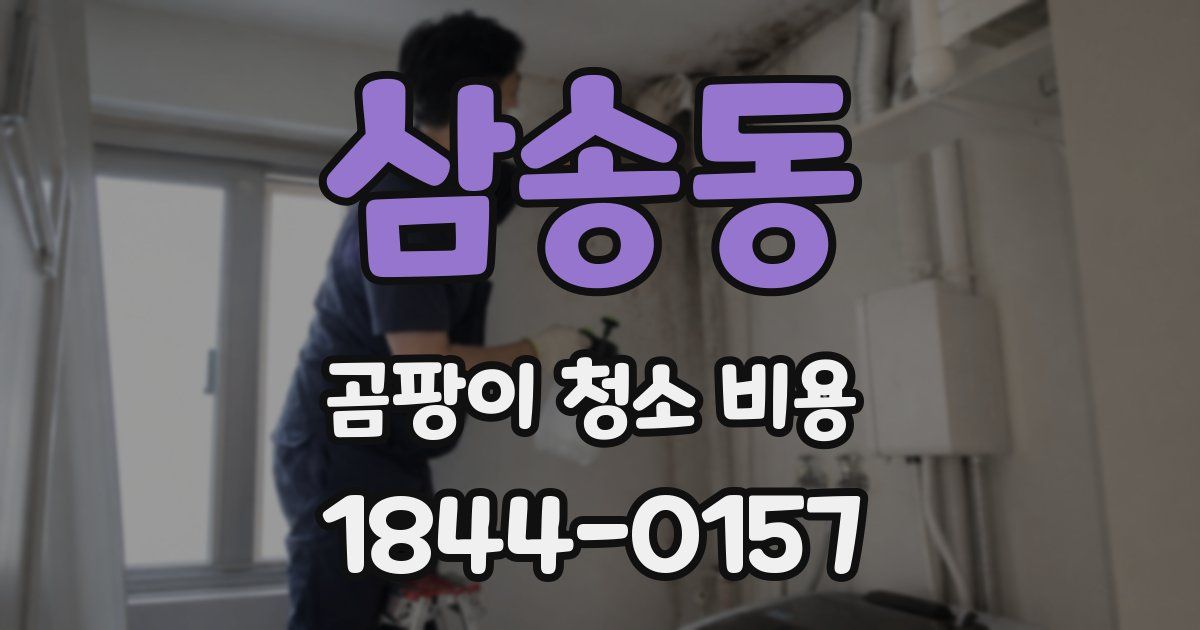 삼송동 곰팡이 청소 비용