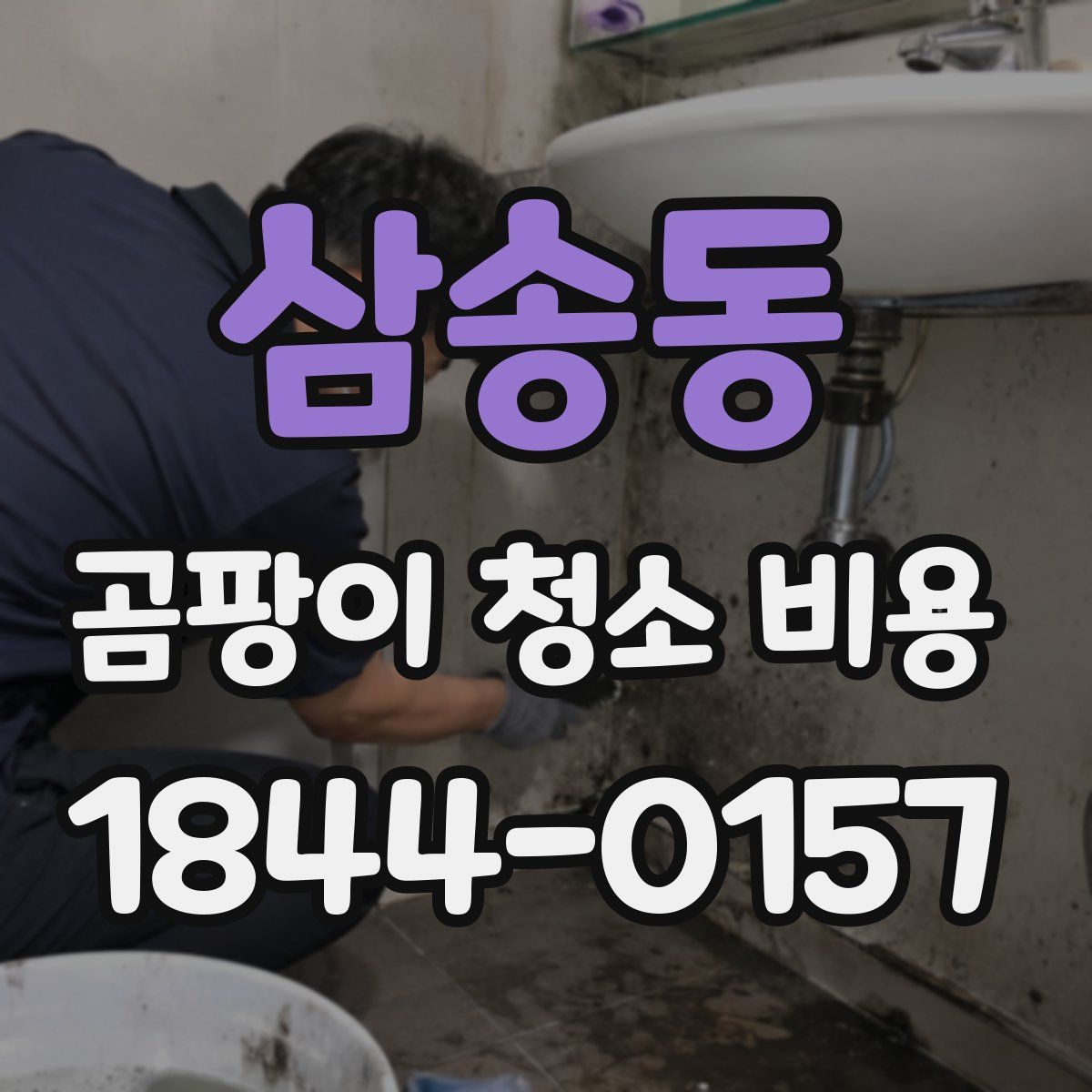 삼송동 곰팡이 청소 비용
