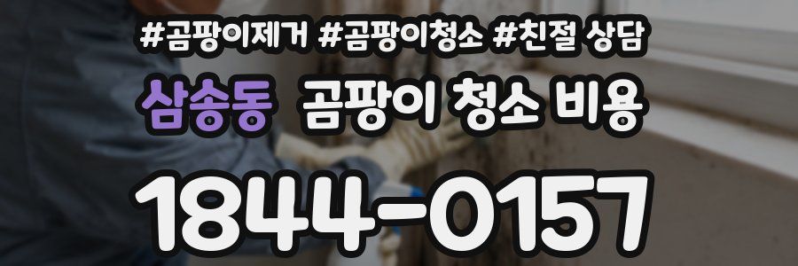 삼송동 곰팡이 청소 비용
