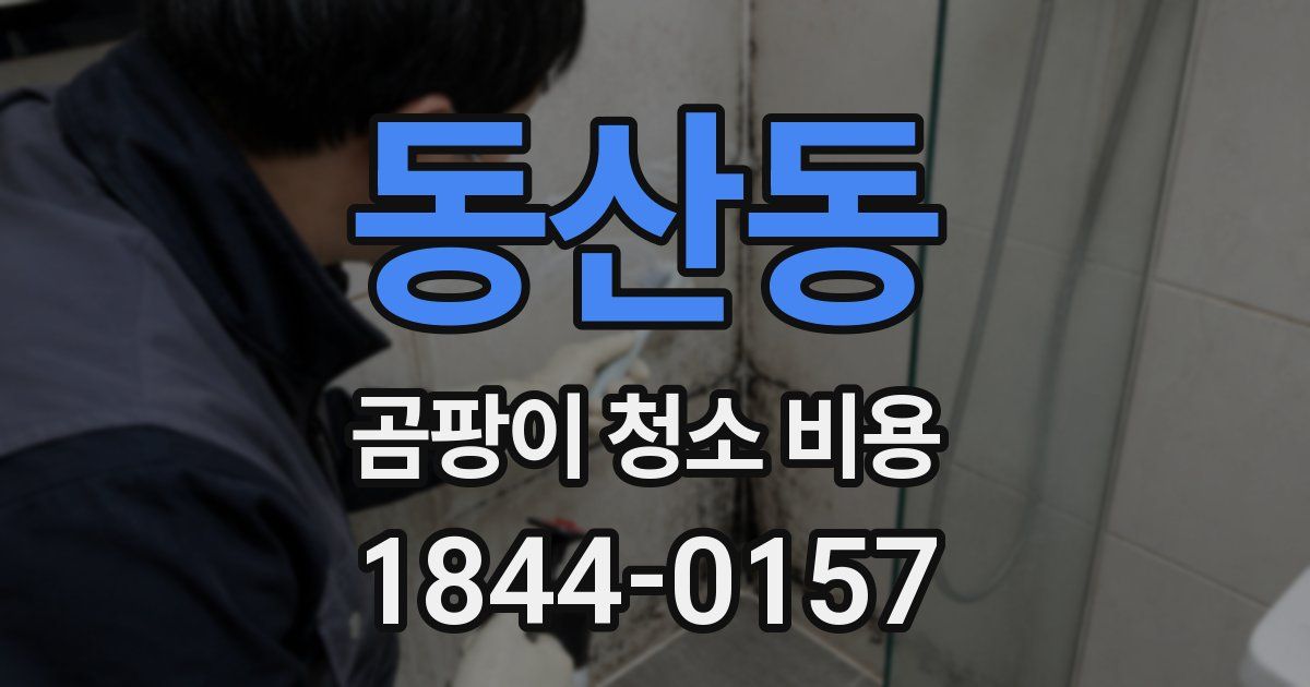 동산동 곰팡이 청소 비용