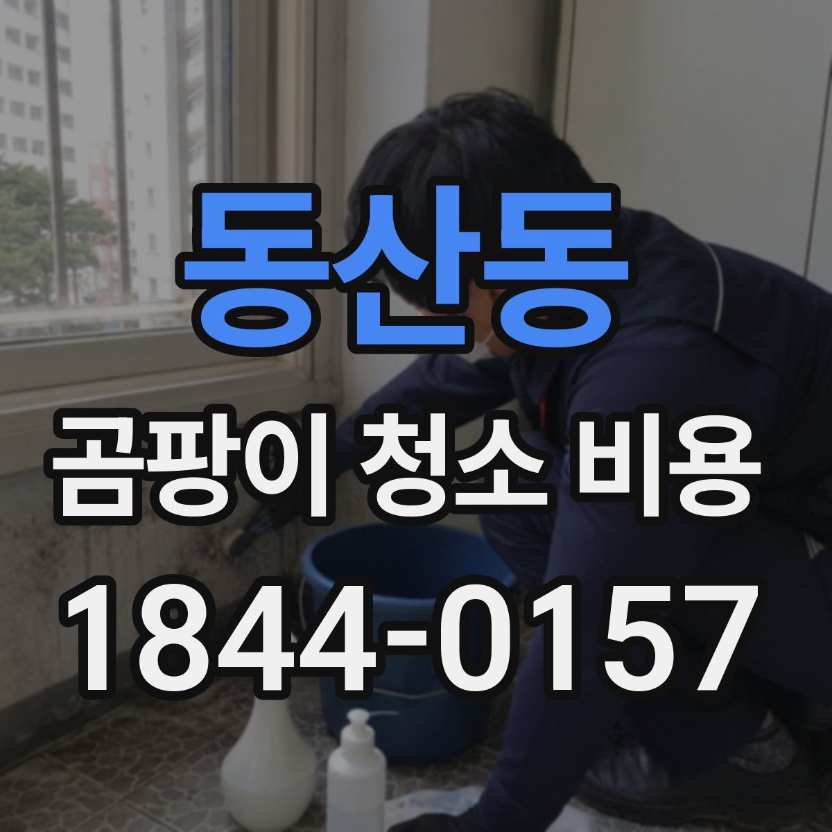 동산동 곰팡이 청소 비용