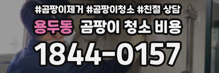 용두동 곰팡이 청소 비용