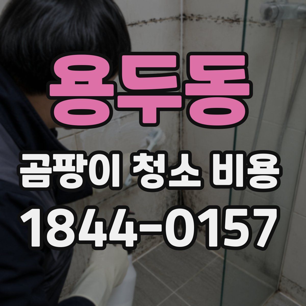 용두동 곰팡이 청소 비용