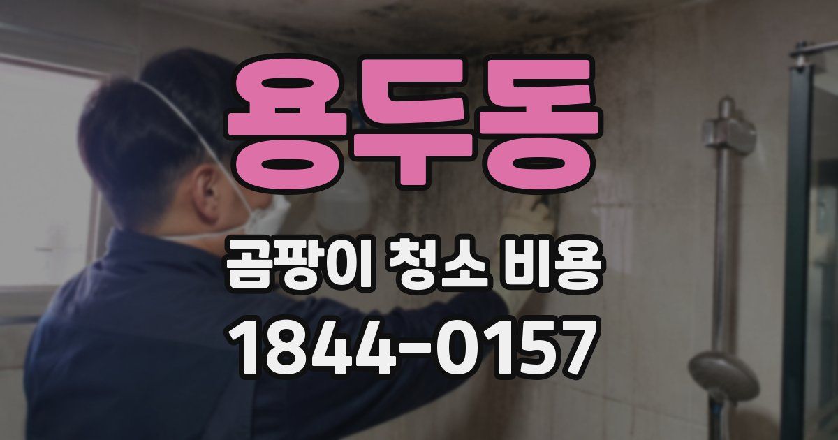 용두동 곰팡이 청소 비용