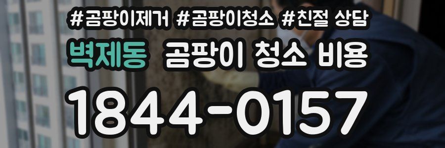 벽제동 곰팡이 청소 비용