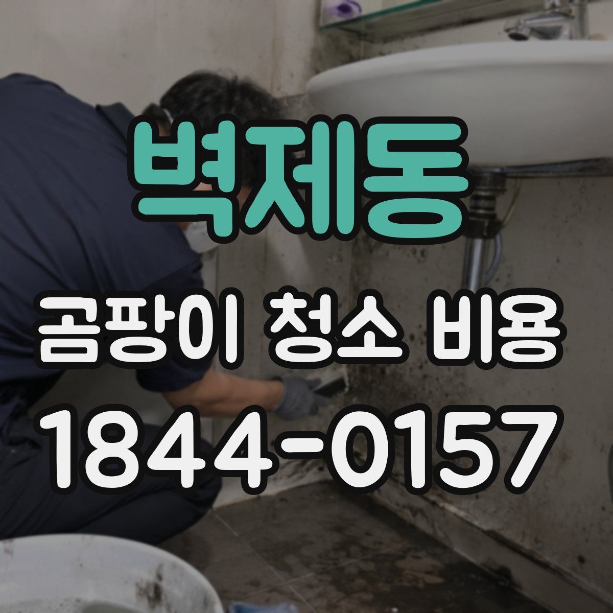 벽제동 곰팡이 청소 비용