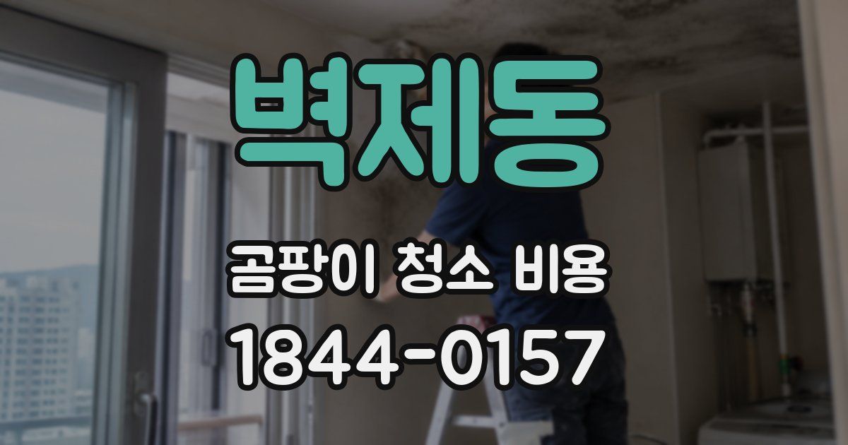 벽제동 곰팡이 청소 비용