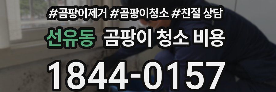 선유동 곰팡이 청소 비용