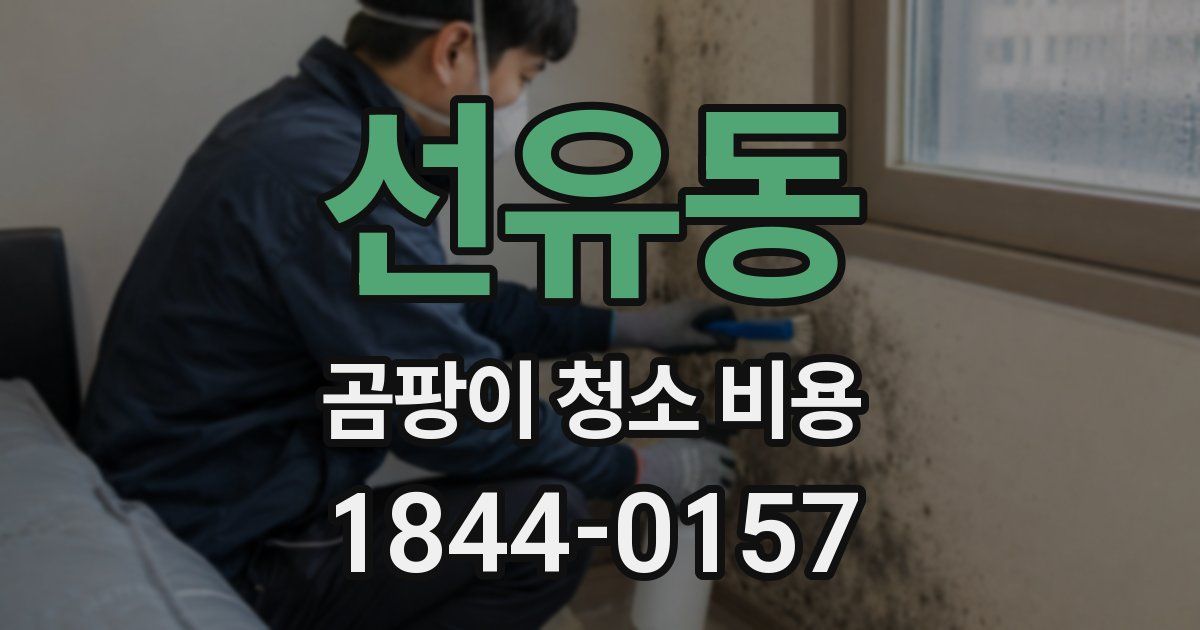 선유동 곰팡이 청소 비용