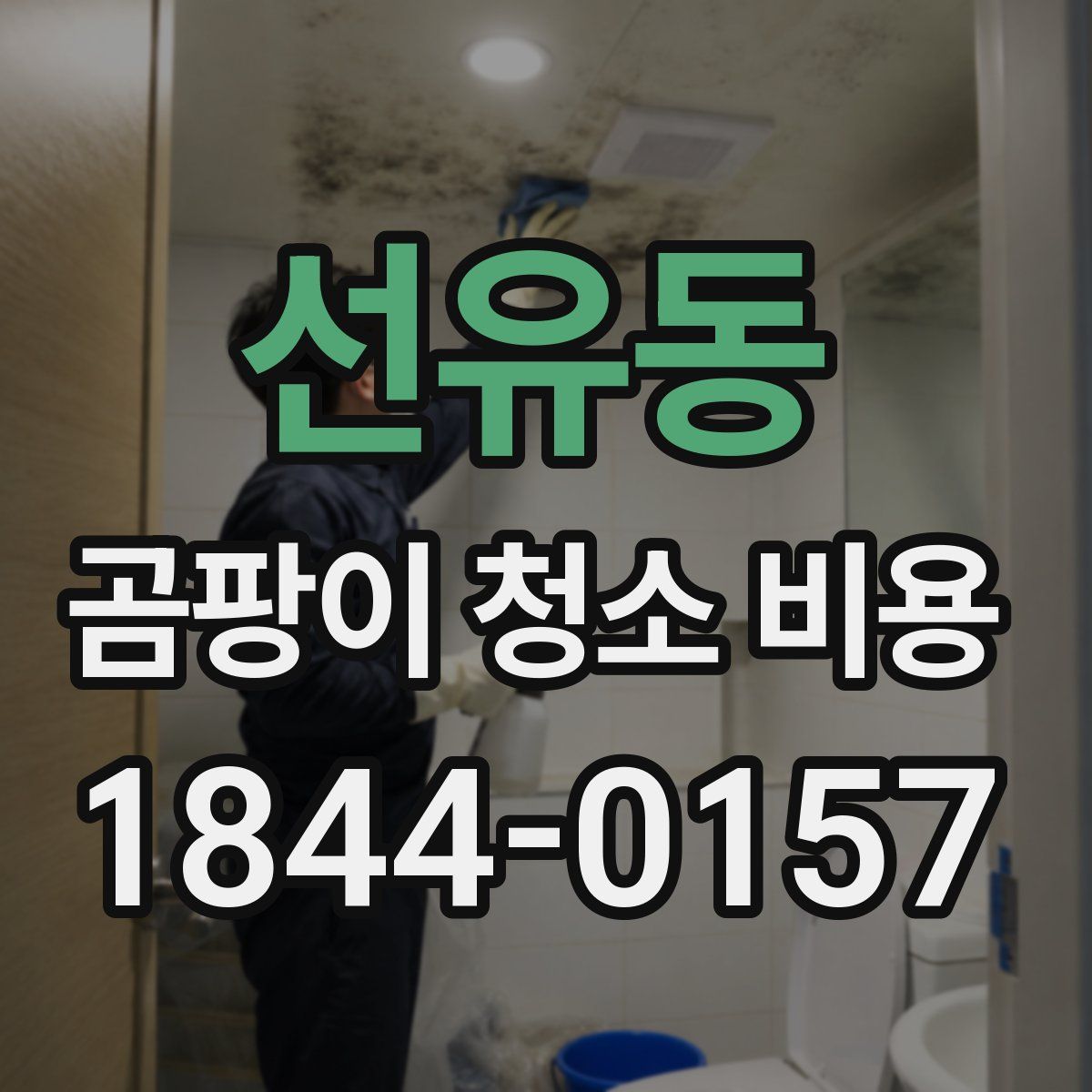 선유동 곰팡이 청소 비용