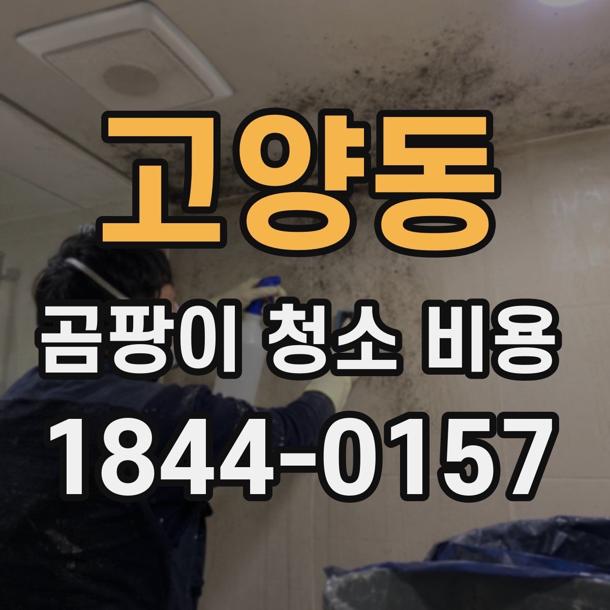 고양동 곰팡이 청소 비용