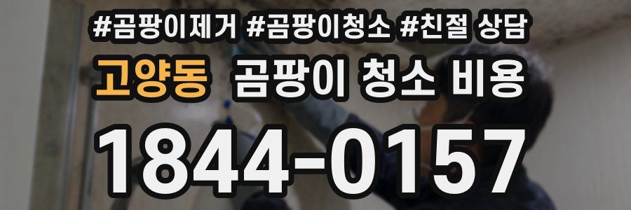 고양동 곰팡이 청소 비용