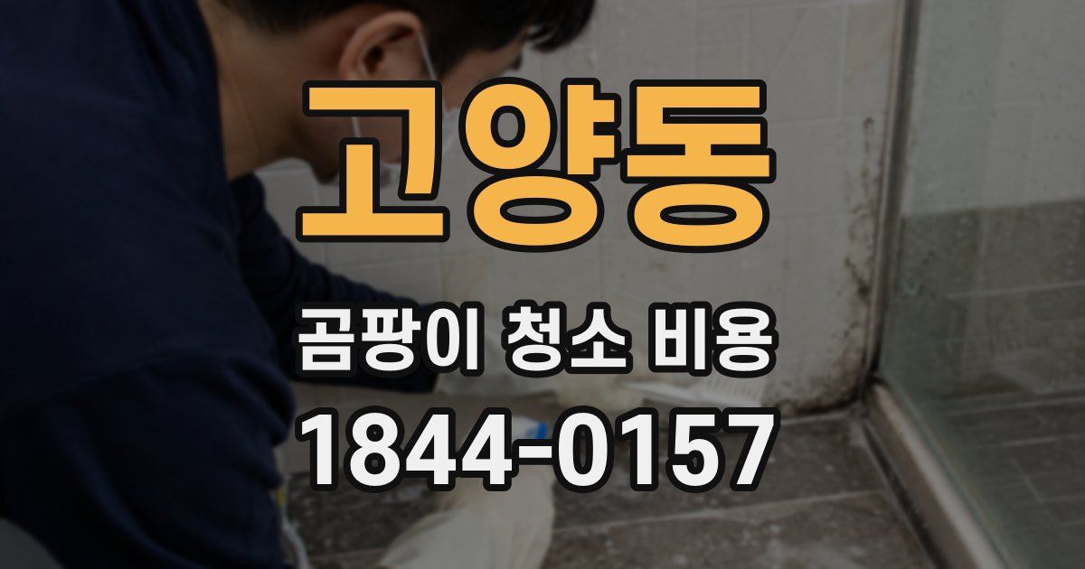 고양동 곰팡이 청소 비용
