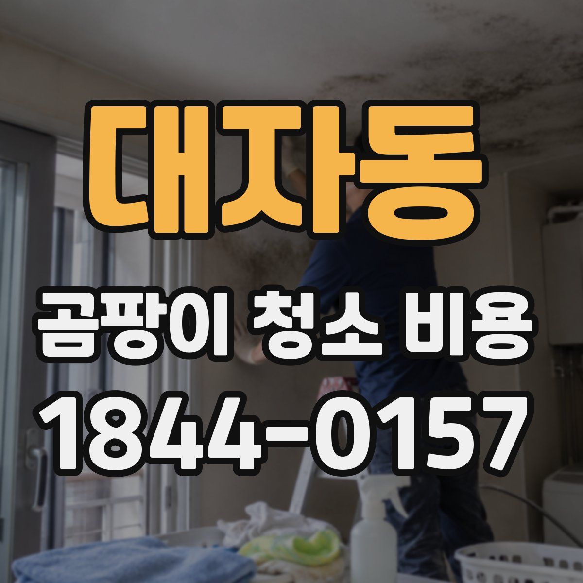 대자동 곰팡이 청소 비용