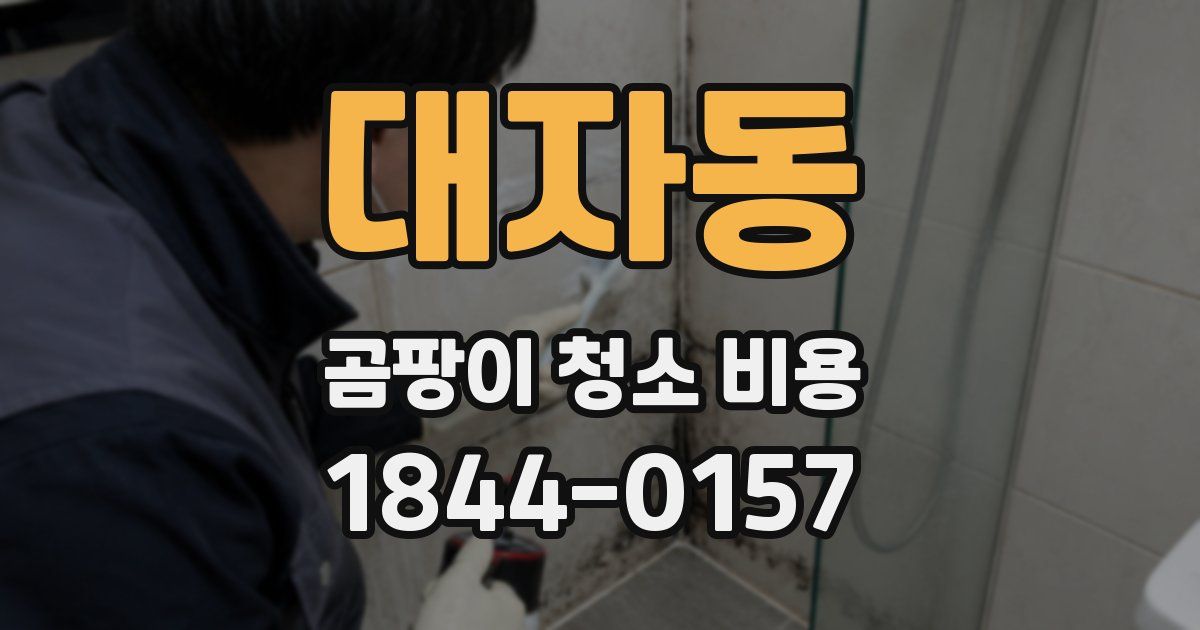 대자동 곰팡이 청소 비용