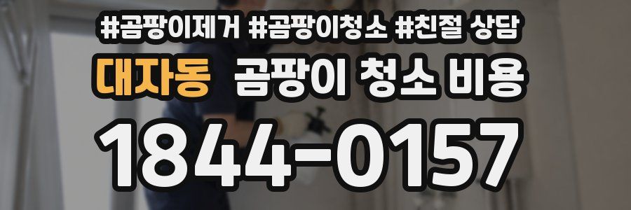 대자동 곰팡이 청소 비용