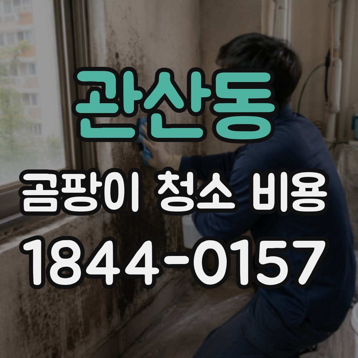관산동 곰팡이 청소 비용