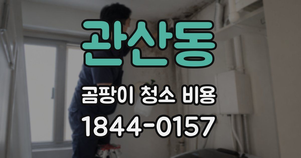 관산동 곰팡이 청소 비용