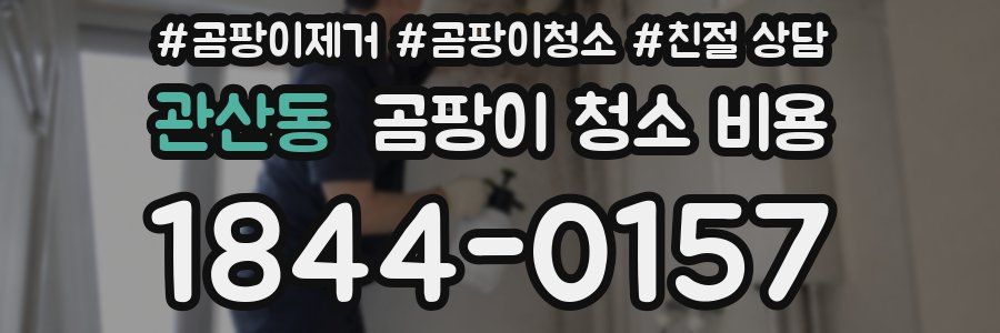 관산동 곰팡이 청소 비용