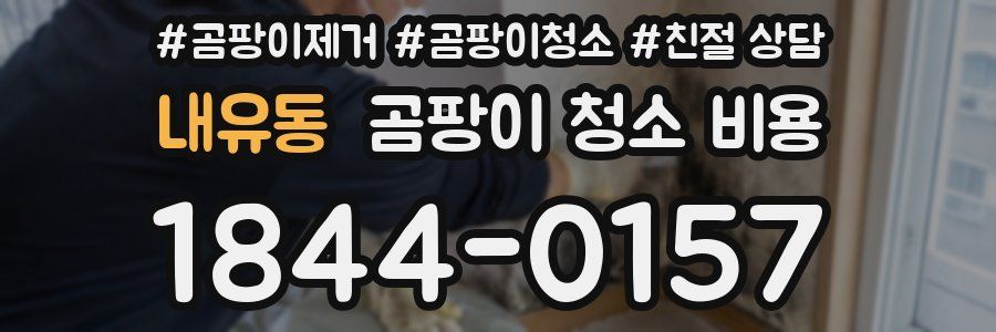 내유동 곰팡이 청소 비용
