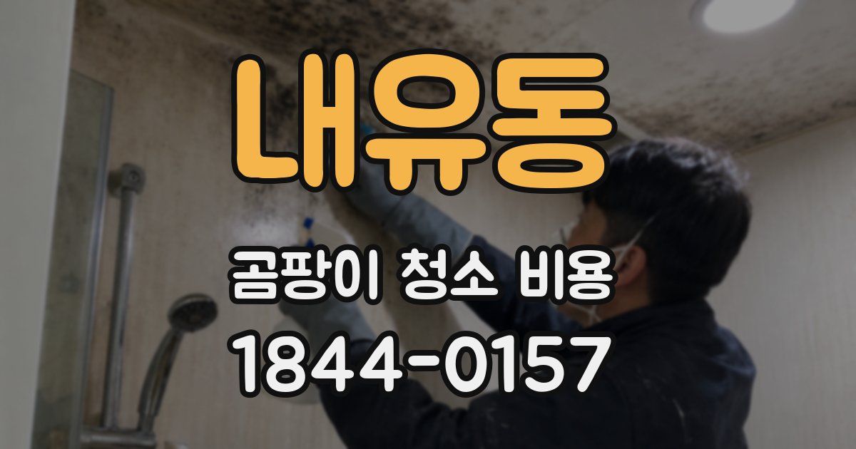 내유동 곰팡이 청소 비용