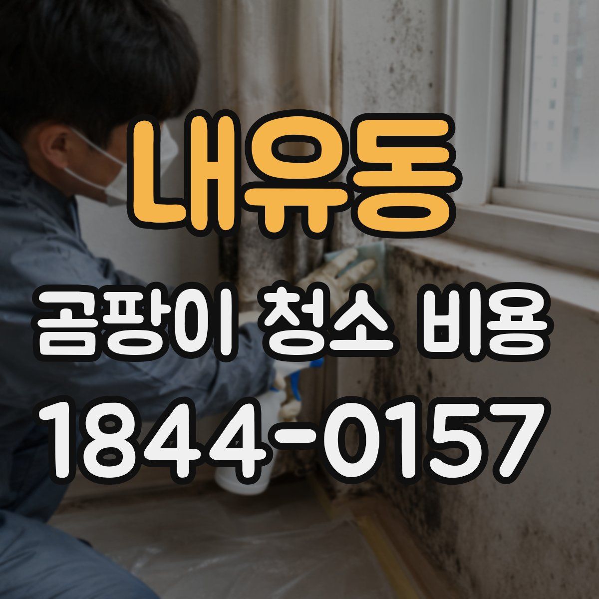 내유동 곰팡이 청소 비용