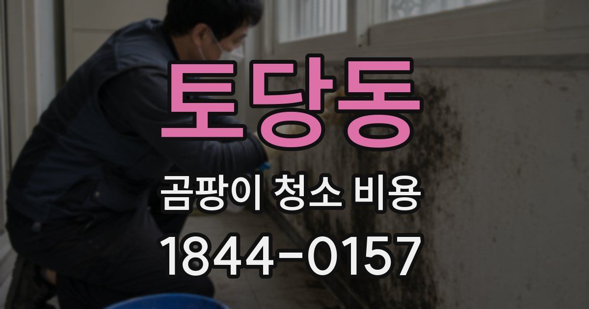 토당동 곰팡이 청소 비용