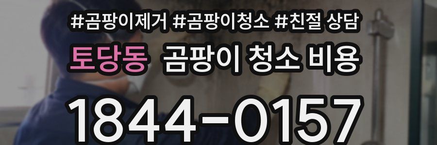 토당동 곰팡이 청소 비용