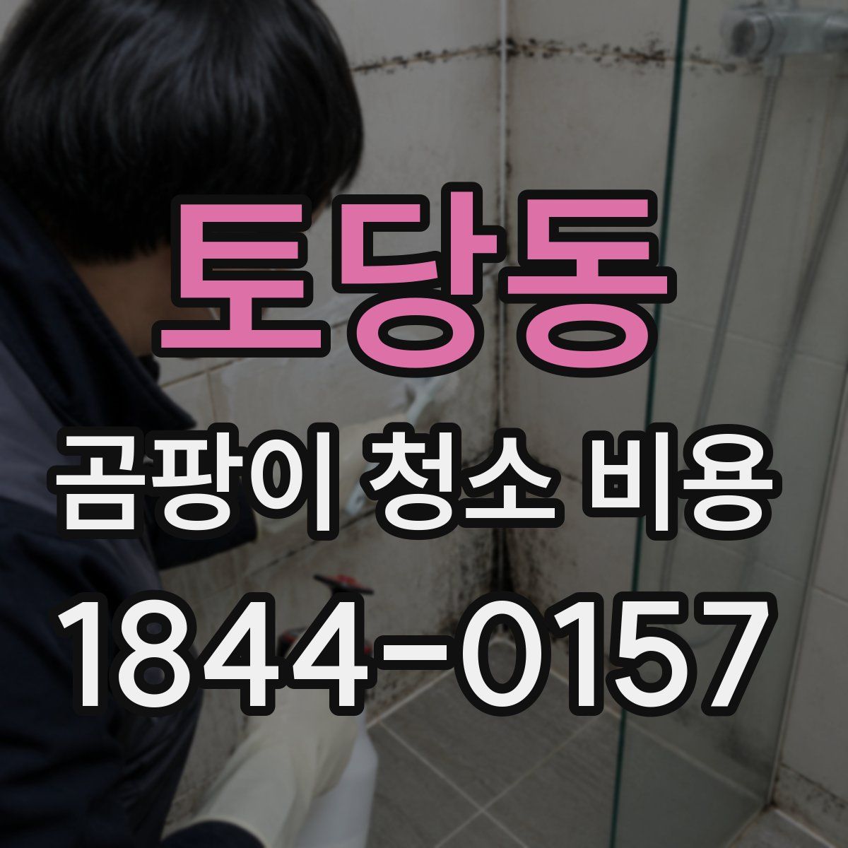 토당동 곰팡이 청소 비용