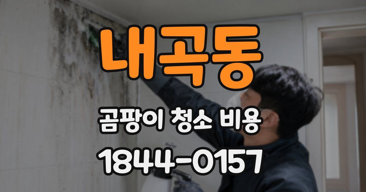 내곡동 곰팡이 청소 비용