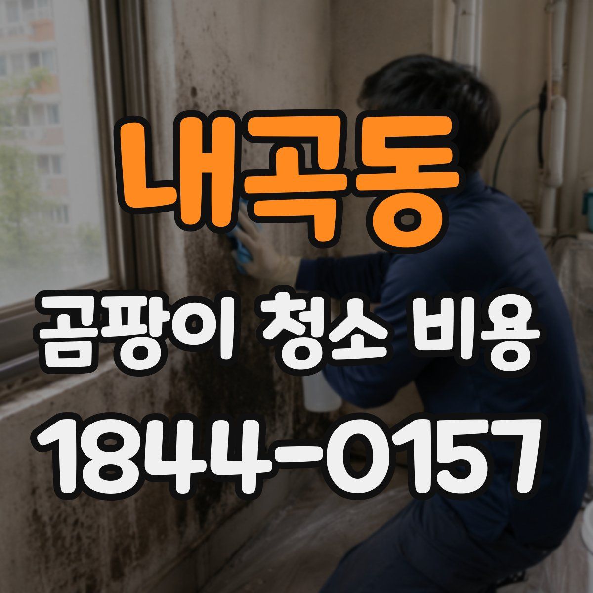 내곡동 곰팡이 청소 비용