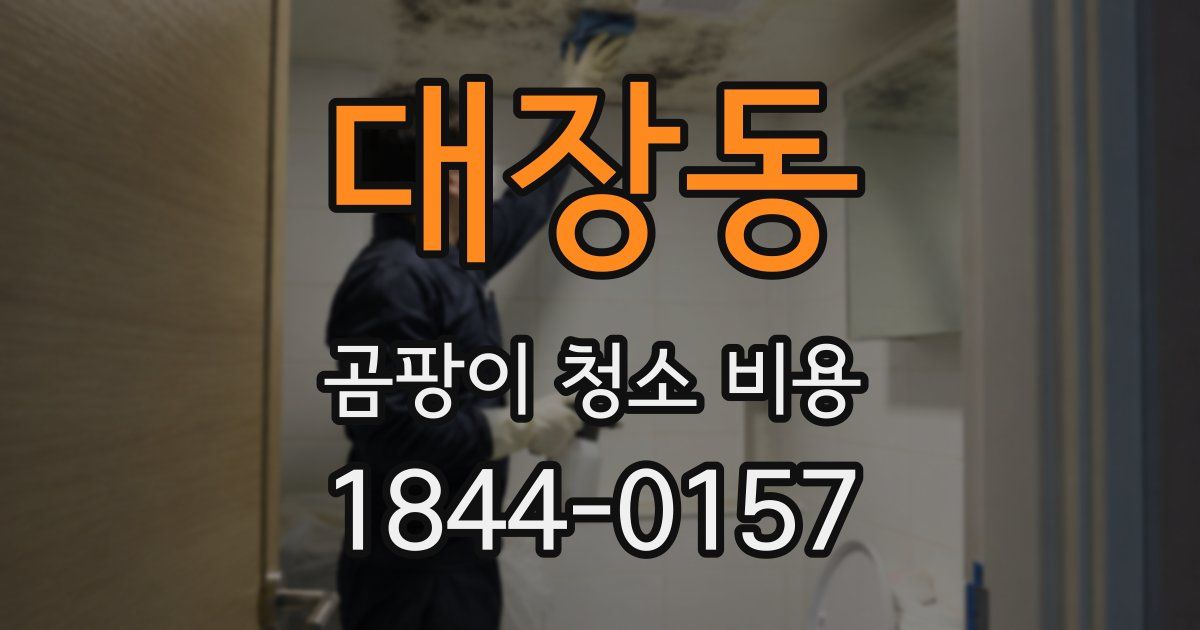 대장동 곰팡이 청소 비용