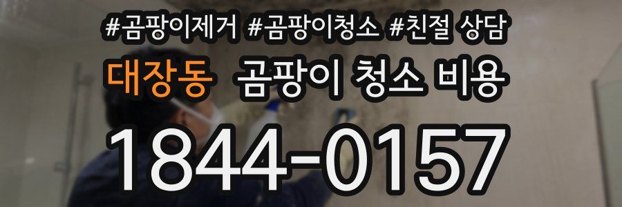 대장동 곰팡이 청소 비용