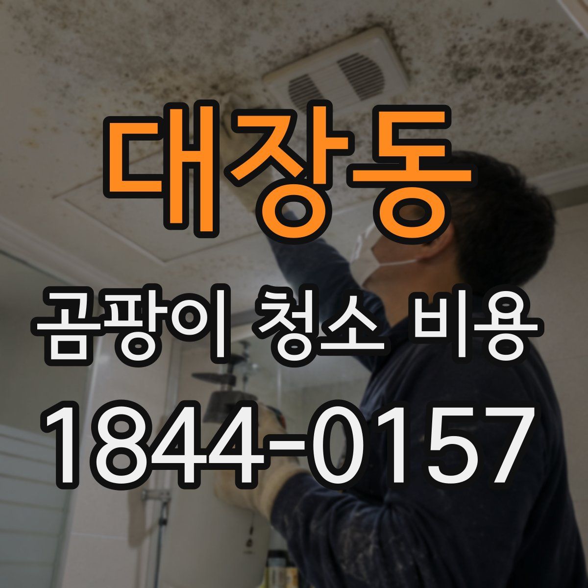 대장동 곰팡이 청소 비용